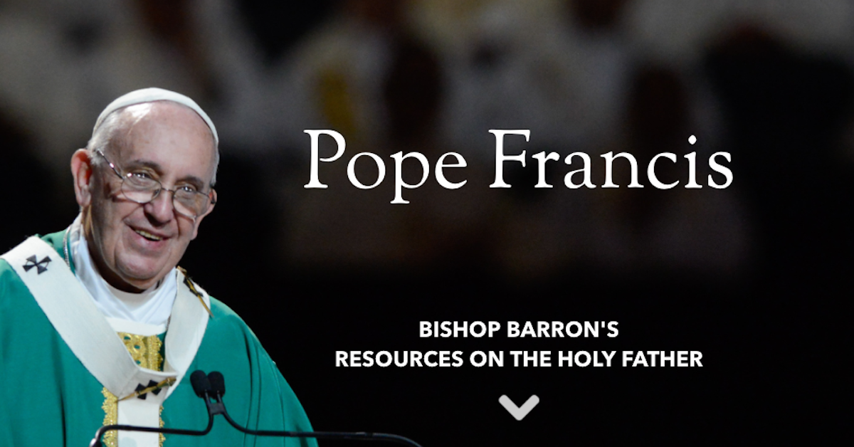 Pope Francis // Resources from Bishop Robert Barron